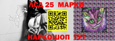 шишки Бузулук