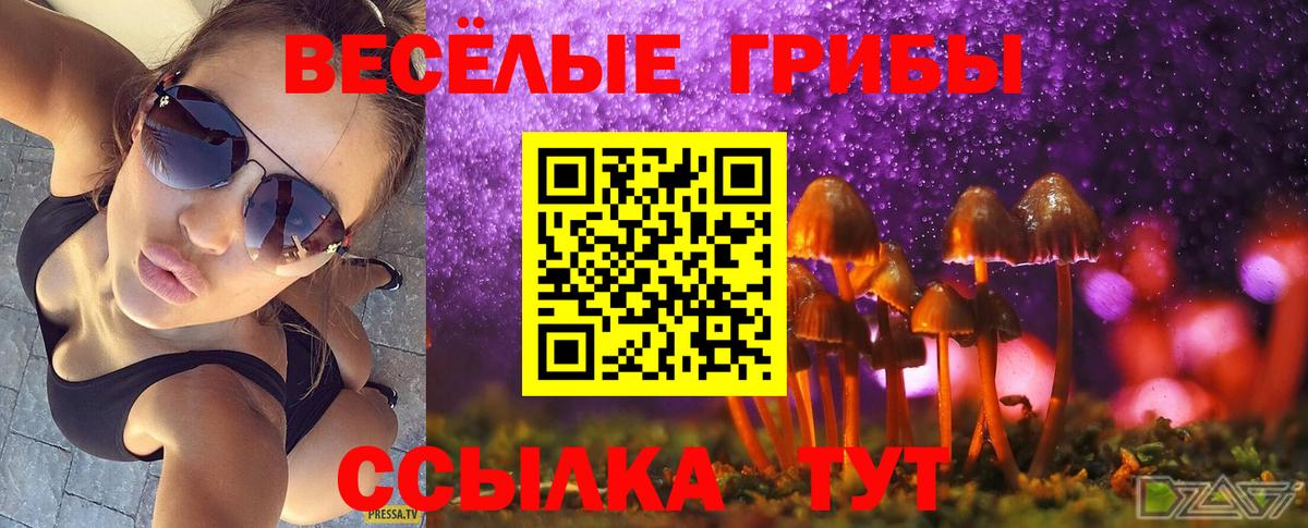 Псилоцибиновые грибы мухоморы Белая Калитва